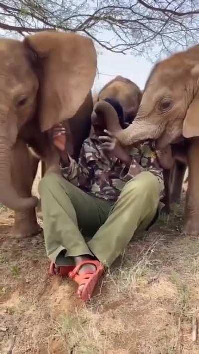 Head Keeper Leleruk of Namunyak Conservancy, Samburu, Kenya has been raising orphaned elephants for years