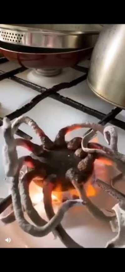 Pills burning on top of a stove