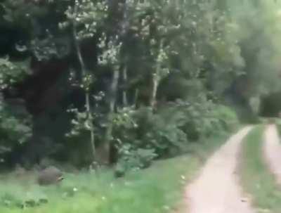 Interesting occurance