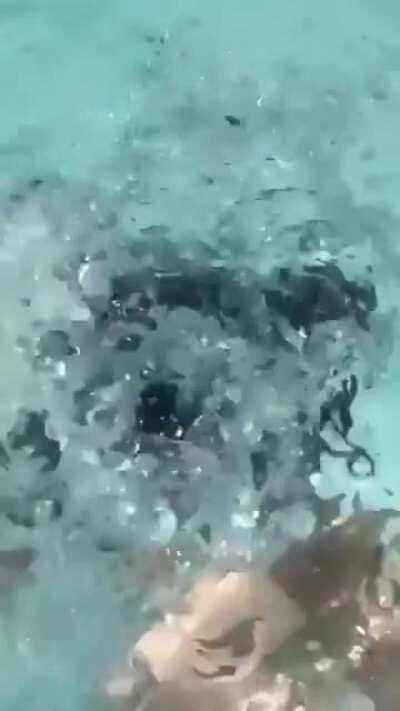 Titillating ✨😍✨