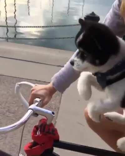 Swim exe needs some work