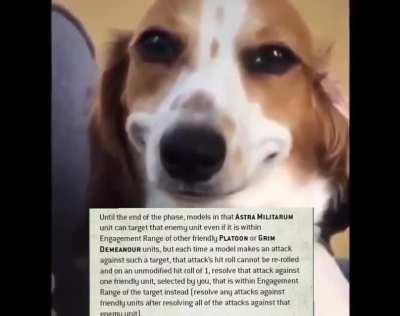 Acceptable Losses is all i've ever wanted and more