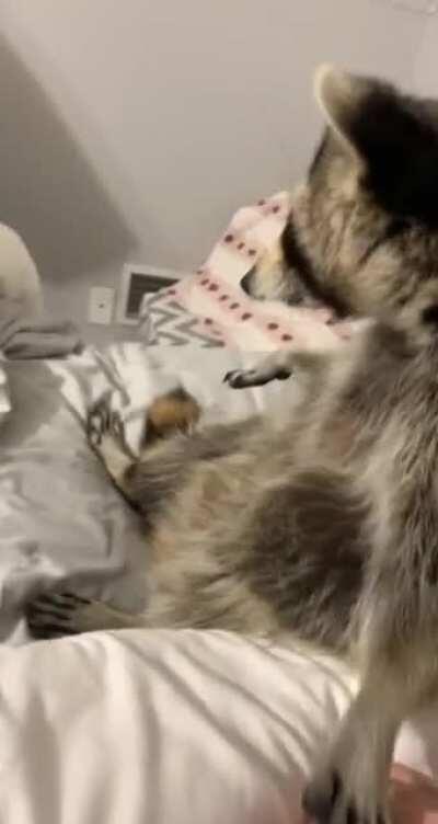 Reaching to hold a hand when scared