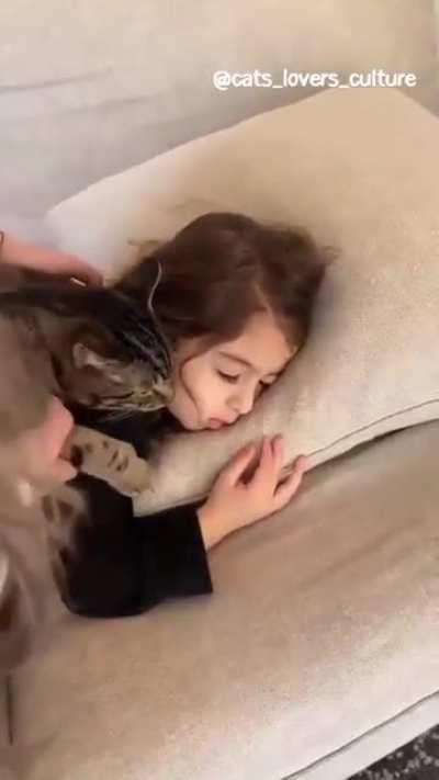 This is peak happiness...why would you disturb the cat!?!?!!?!?