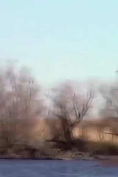 Sending Heartfelt Condolences and Prayers for Comfort to the Grieving Family 🕊️🙏