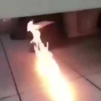 Чувак, какого хрена?