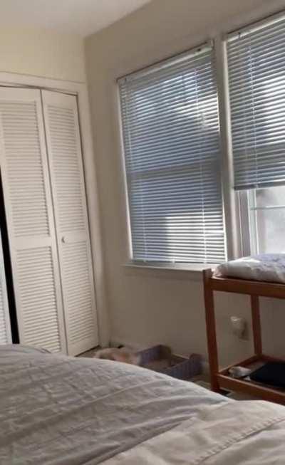 the jump has not gone as expected