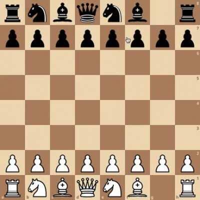 True anarchy chess: no authority!