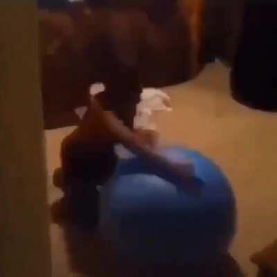 What are you doing stepball?