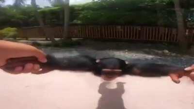 same spinning mono but in HD