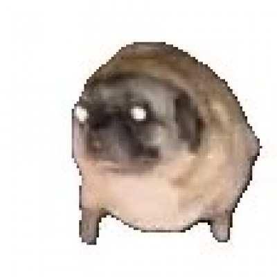 You have been scrolling in new, heres a dancing pug