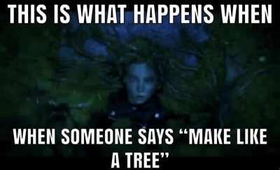 Make like a tree and leave 😡