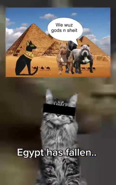 Don't forget your culture 