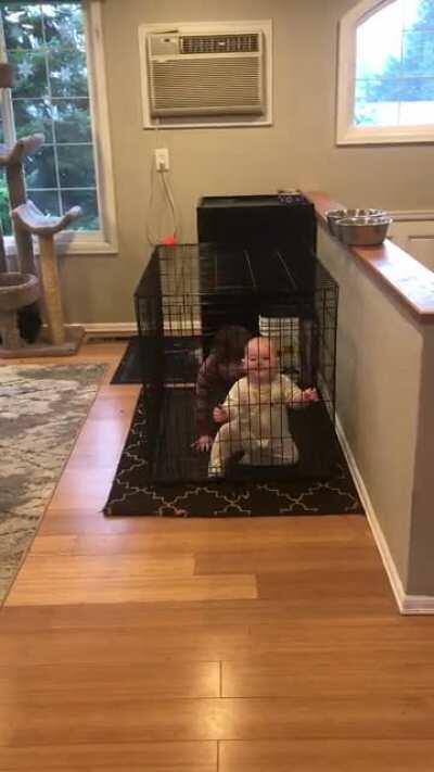 I’m thinking of opening a zoo