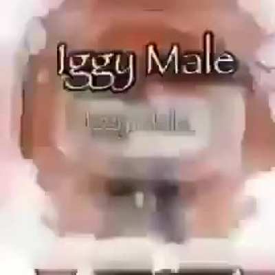 Iggy male
