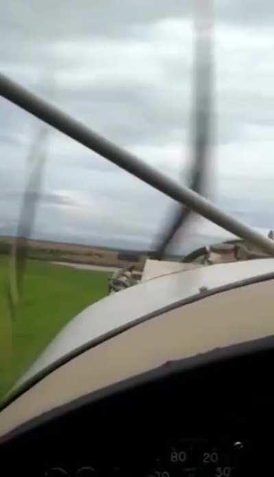 Era para ser uma tarde animada com os amigos...