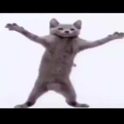 this gives me my will to live