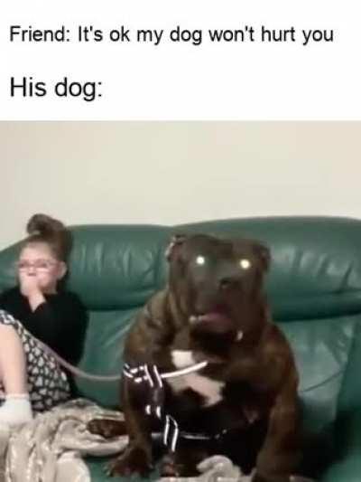 There is no puppy only zuul