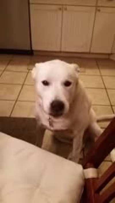 Yeah whatever, blah blah blah