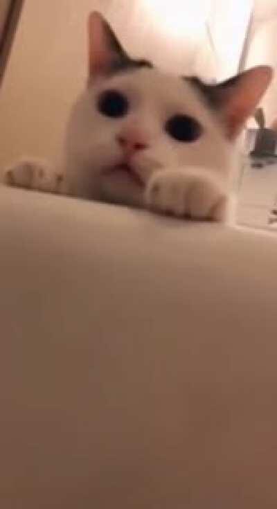 Kat wanted to check he's the investigator.