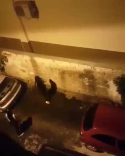 Drenched for not going before you left