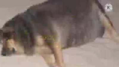 PATRINK ALLAH SEX FULL MOVIE??? 😳😳😳😳 ANTI HARAM PROPOGANDA SPONG MANM ICE CLONE 🤯🤯🤯🤯🤯🤯🤯🤯😳😳😳