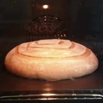 Bread in the oven