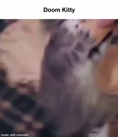 The only cat they fear is you