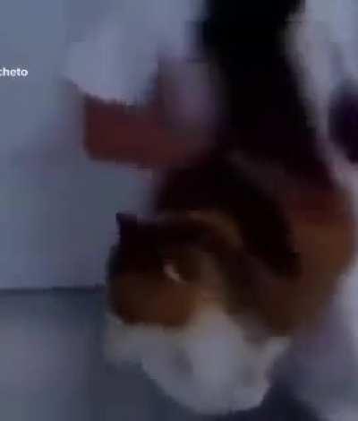 Hello Gordon Freeman