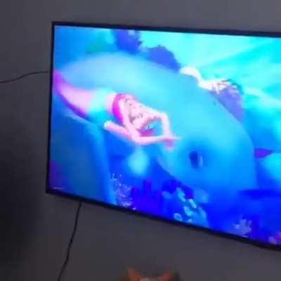 Que futbol leque o negocio e ver barbie