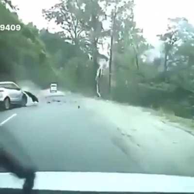 Nature doesn't care where we build our roads