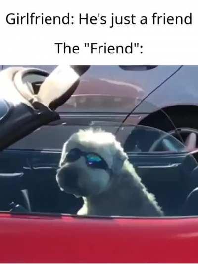 Stealing your girlfriend