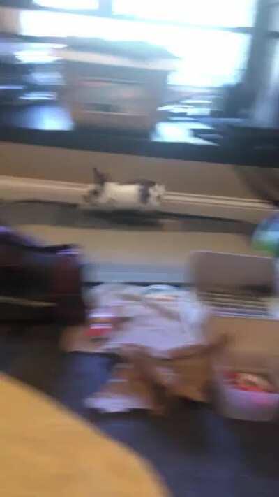 A sudden need for speed from Sini