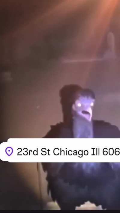 Espécie de ave é essa?