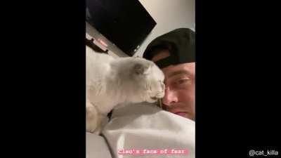 Cat licks Owner, he returns the favor.