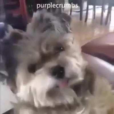 When you wake and it's Death Battle day