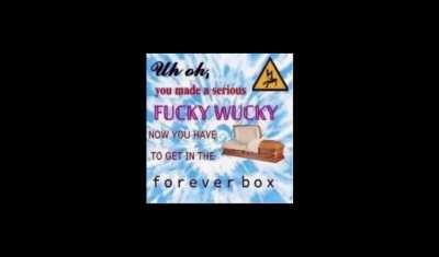 THE F O R E V E R B O X