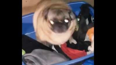 Found this on tiktok