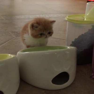 *water drinking noises*