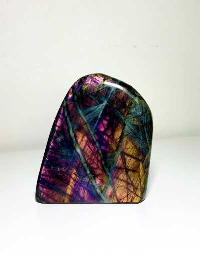 Treat for Lab Lovers