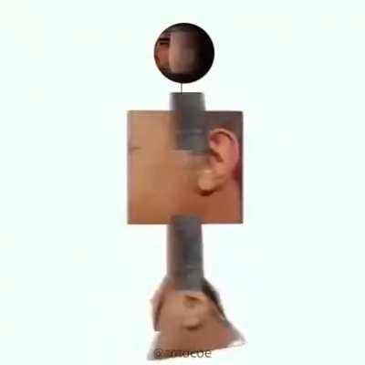 Made in Heaven for Star Platinum Prime