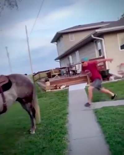 I could loop this literally all day