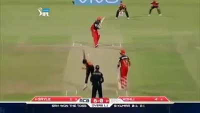 Bhuvi bowling out batsmen in ipl