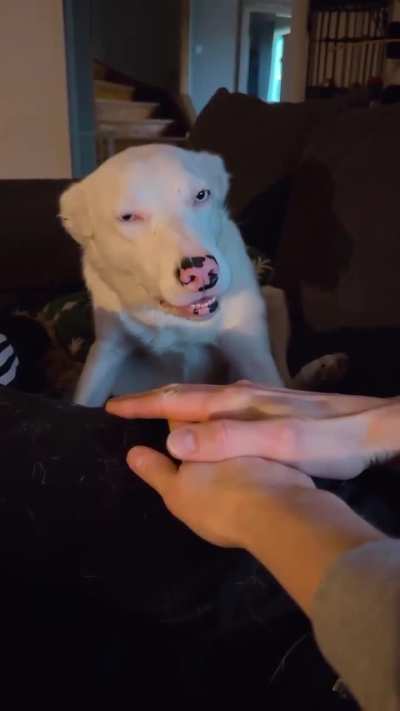 Two Factor Authorization Successful