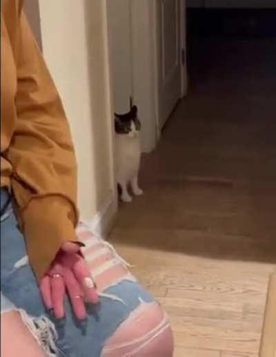 Programmers in company's team building events