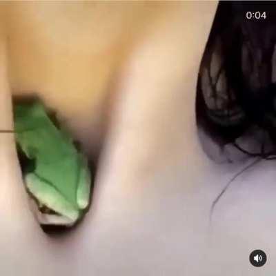 Frog occupying the perfect space.