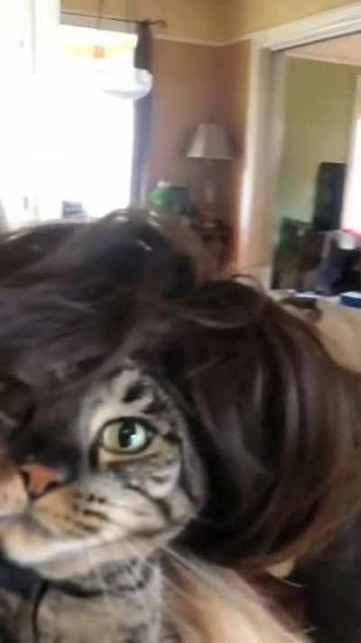 Вот так вот