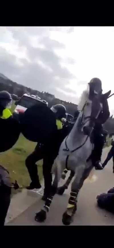 More brutal scenes from the anti lockdown protest in the Netherlands