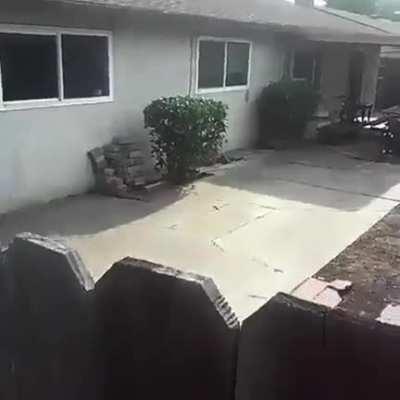 wordington neighbour