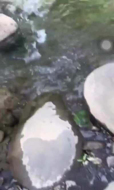 Gotta get home before covid curfew